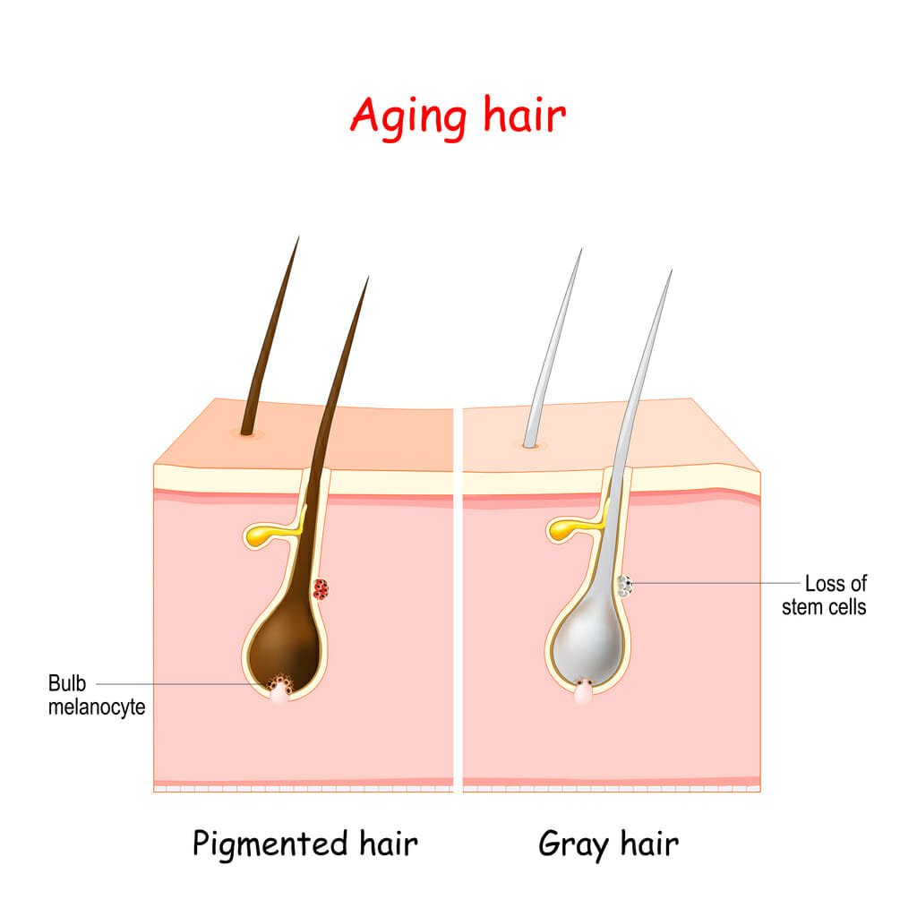 hydrogen peroxide grey hair