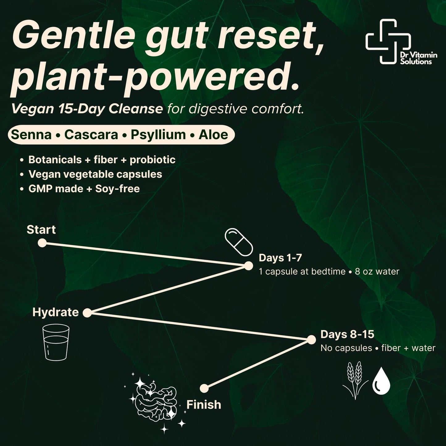 15 Day Cleanse – Natural Colon Detox & Digestive Support with Senna, Aloe Vera, Cascara Sagrada & Probiotics – Gentle, Vegan, 15-Day Cleansing Program
