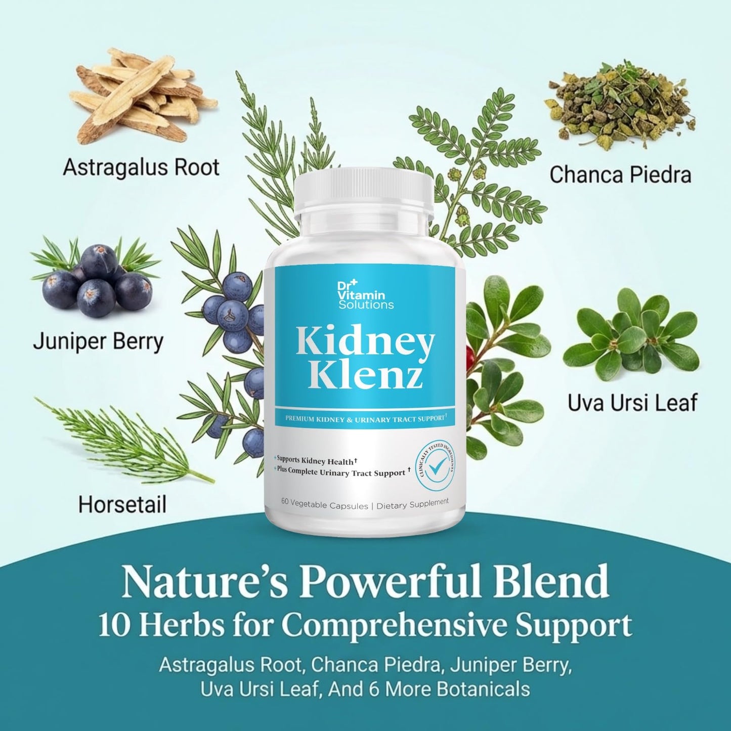 Dr Vitamin Kidney Klenz - Cranberry Extract + Herbal Blend - Kidney & Urinary Tract Support - 60 Vegetable Capsules - Non-GMO Herbal Supplement