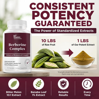 DR Vitamin Berberine Complex – 500 mg Berberine HCl with Bitter Melon & Banaba Leaf Extract – Non-GMO Vegan Supplement – 60 Vegetable Capsules