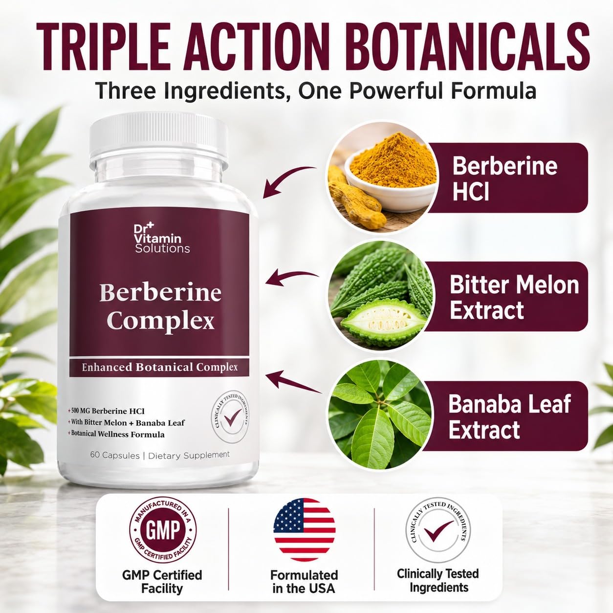 DR Vitamin Berberine Complex – 500 mg Berberine HCl with Bitter Melon & Banaba Leaf Extract – Non-GMO Vegan Supplement – 60 Vegetable Capsules